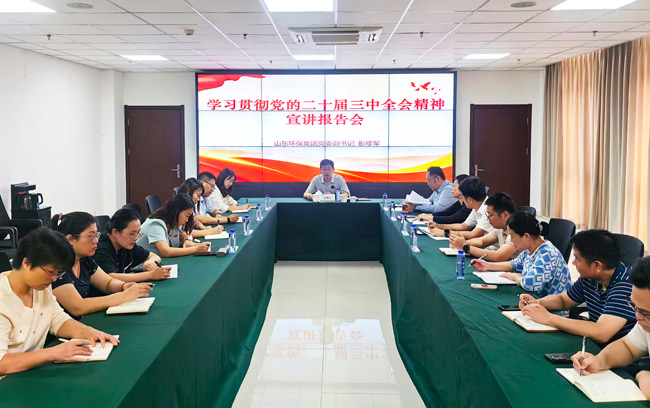 集團(tuán)黨委副書記彭修軍到產(chǎn)業(yè)研究院黨支部作黨的二十屆三中全會(huì)精神宣講